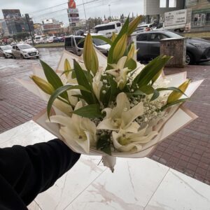Beyaz Lily
